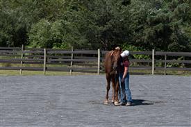 LR-WRF 08022025-Retreat-3058